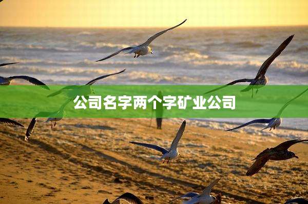 公司名字两个字矿业公司