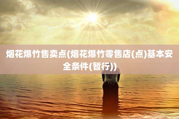 烟花爆竹售卖点(烟花爆竹零售店(点)基本安全条件(暂行))