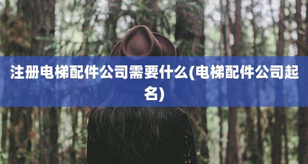 注册电梯配件公司需要什么(电梯配件公司起名)