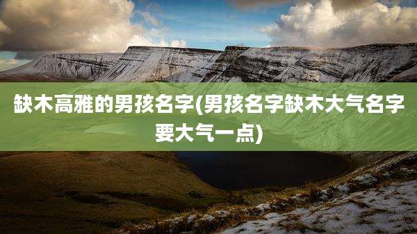 缺木高雅的男孩名字(男孩名字缺木大气名字要大气一点)