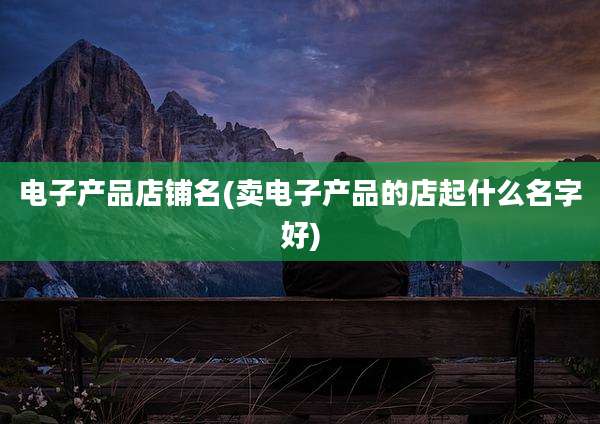 电子产品店铺名(卖电子产品的店起什么名字好)