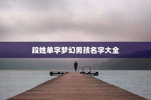 段姓单字梦幻男孩名字大全