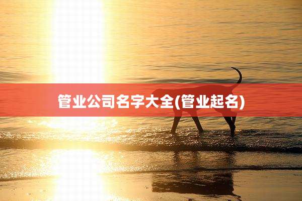 管业公司名字大全(管业起名)