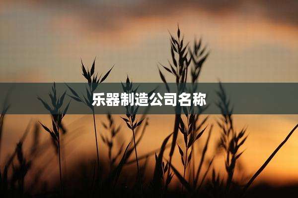 乐器制造公司名称