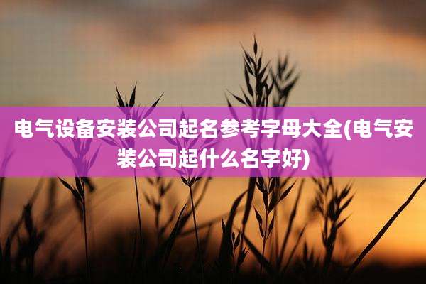 电气设备安装公司起名参考字母大全(电气安装公司起什么名字好)