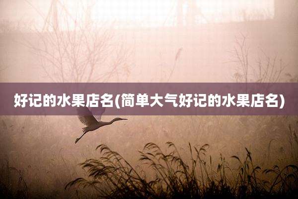 好记的水果店名(简单大气好记的水果店名)