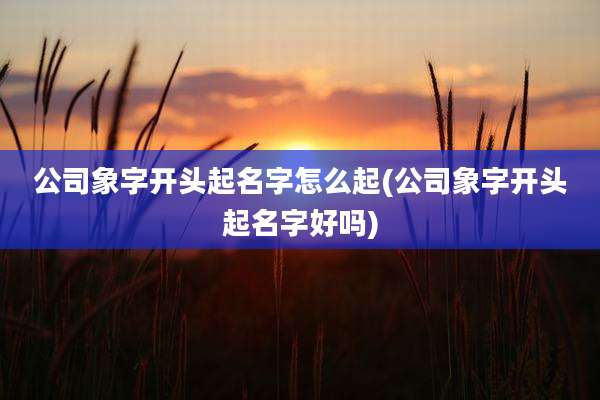 公司象字开头起名字怎么起(公司象字开头起名字好吗)