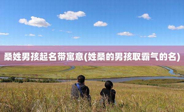 桑姓男孩起名带寓意(姓桑的男孩取霸气的名)
