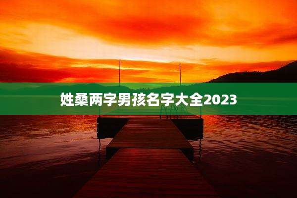 姓桑两字男孩名字大全2023
