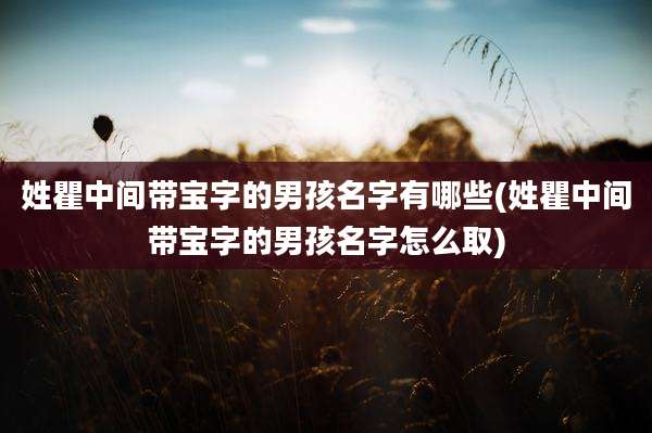 姓瞿中间带宝字的男孩名字有哪些(姓瞿中间带宝字的男孩名字怎么取)