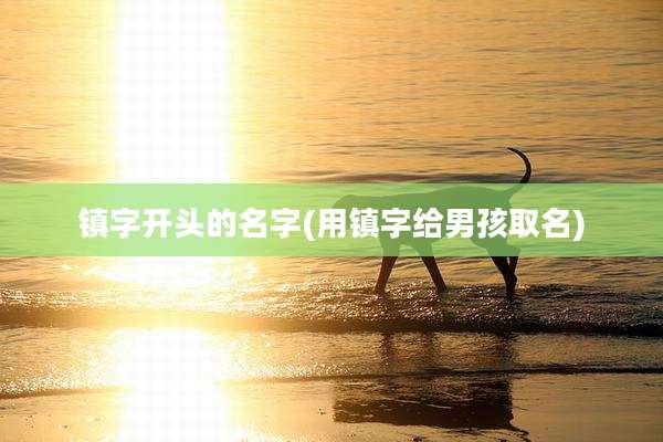 镇字开头的名字(用镇字给男孩取名)