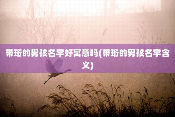 带珩的男孩名字好寓意吗(带珩的男孩名字含义)