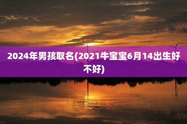 2024年男孩取名(2021牛宝宝6月14出生好不好)