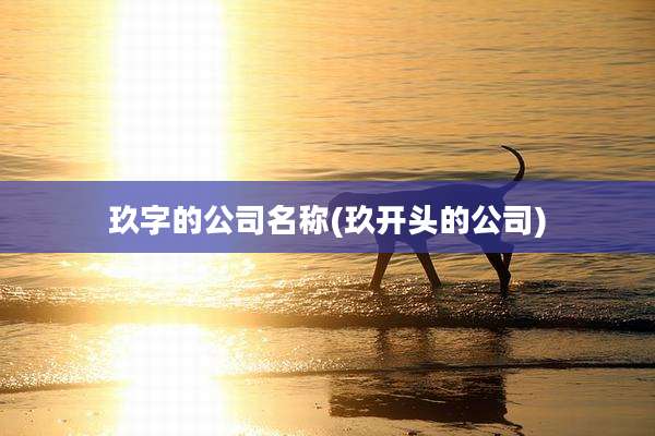 玖字的公司名称(玖开头的公司)