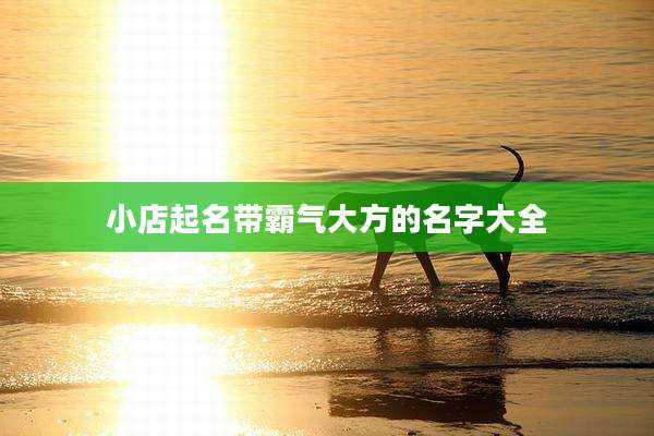 小店起名带霸气大方的名字大全