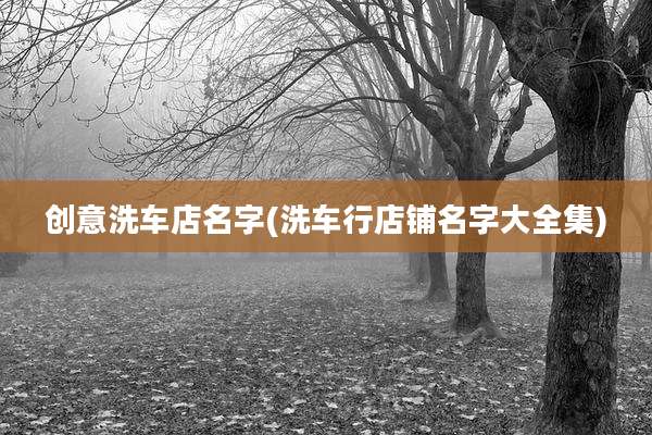 创意洗车店名字(洗车行店铺名字大全集)