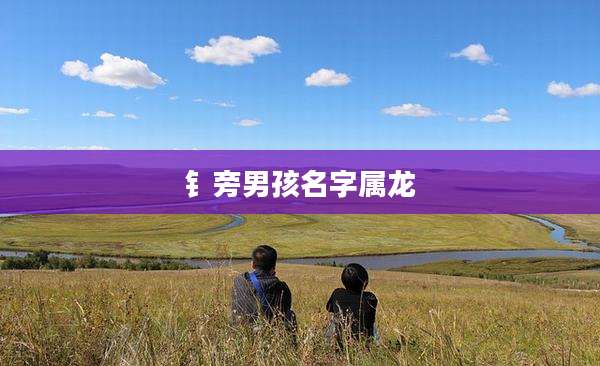 钅旁男孩名字属龙