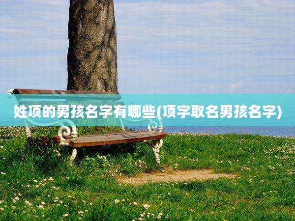 姓项的男孩名字有哪些(项字取名男孩名字)