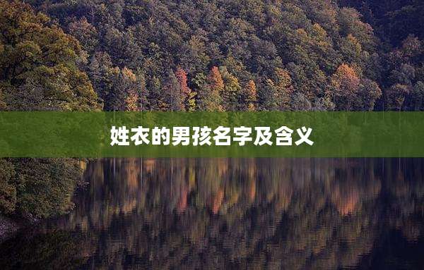 姓衣的男孩名字及含义