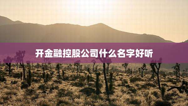 开金融控股公司什么名字好听