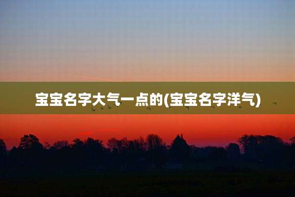 宝宝名字大气一点的(宝宝名字洋气)