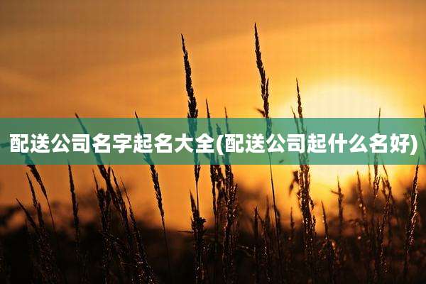 配送公司名字起名大全(配送公司起什么名好)