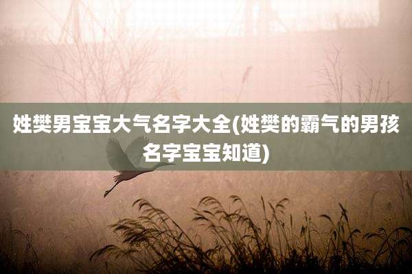 姓樊男宝宝大气名字大全(姓樊的霸气的男孩名字宝宝知道)