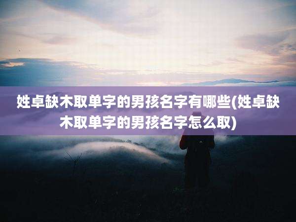 姓卓缺木取单字的男孩名字有哪些(姓卓缺木取单字的男孩名字怎么取)