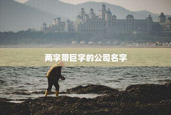 两字带巨字的公司名字