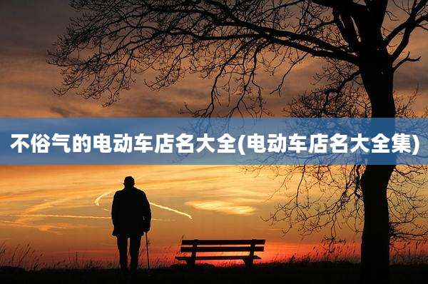 不俗气的电动车店名大全(电动车店名大全集)