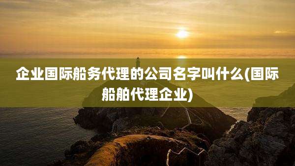 企业国际船务代理的公司名字叫什么(国际船舶代理企业)