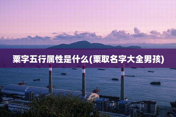 粟字五行属性是什么(粟取名字大全男孩)