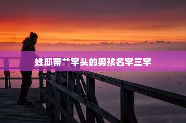 姓邸带艹字头的男孩名字三字