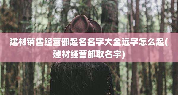 建材销售经营部起名名字大全远字怎么起(建材经营部取名字)
