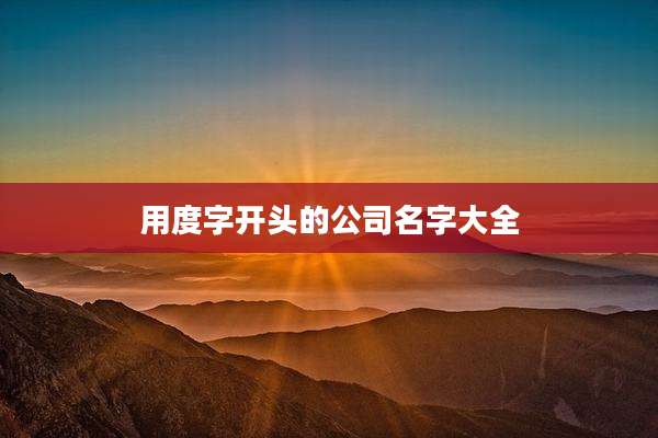 用度字开头的公司名字大全