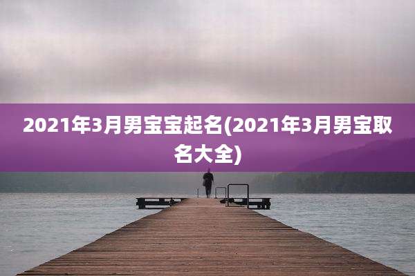 2021年3月男宝宝起名(2021年3月男宝取名大全)