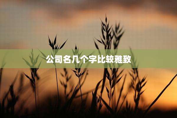 公司名几个字比较雅致