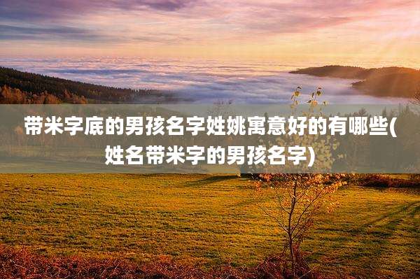 带米字底的男孩名字姓姚寓意好的有哪些(姓名带米字的男孩名字)