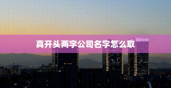 真开头两字公司名字怎么取