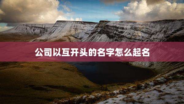 公司以互开头的名字怎么起名