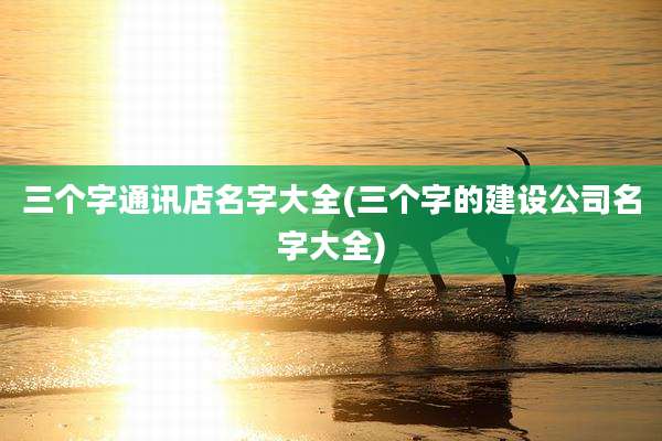 三个字通讯店名字大全(三个字的建设公司名字大全)