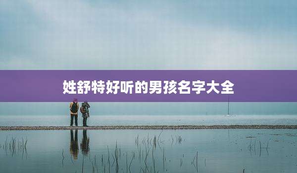 姓舒特好听的男孩名字大全