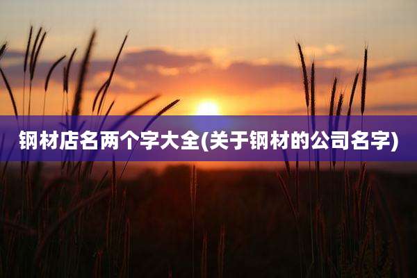 钢材店名两个字大全(关于钢材的公司名字)