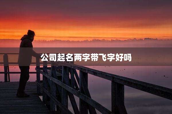 公司起名两字带飞字好吗