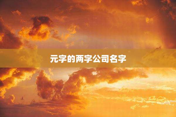 元字的两字公司名字