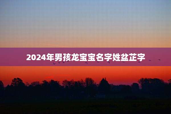 2024年男孩龙宝宝名字姓盆芷字