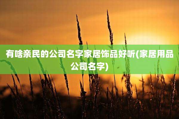 有啥亲民的公司名字家居饰品好听(家居用品公司名字)