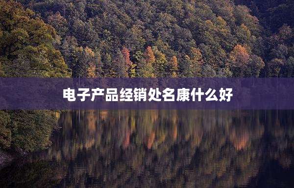 电子产品经销处名康什么好