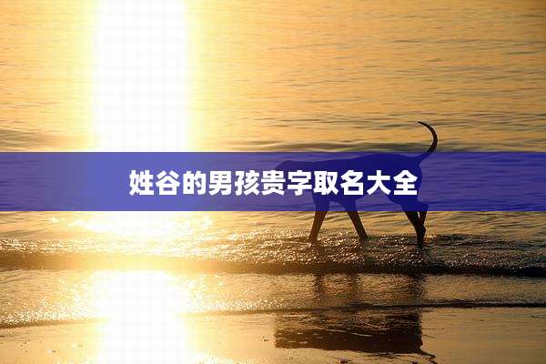 姓谷的男孩贵字取名大全