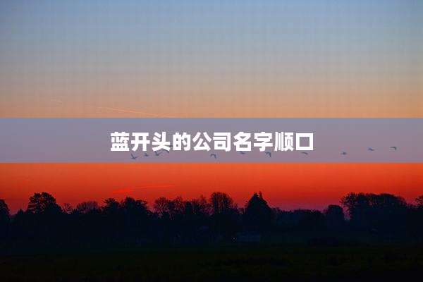 蓝开头的公司名字顺口